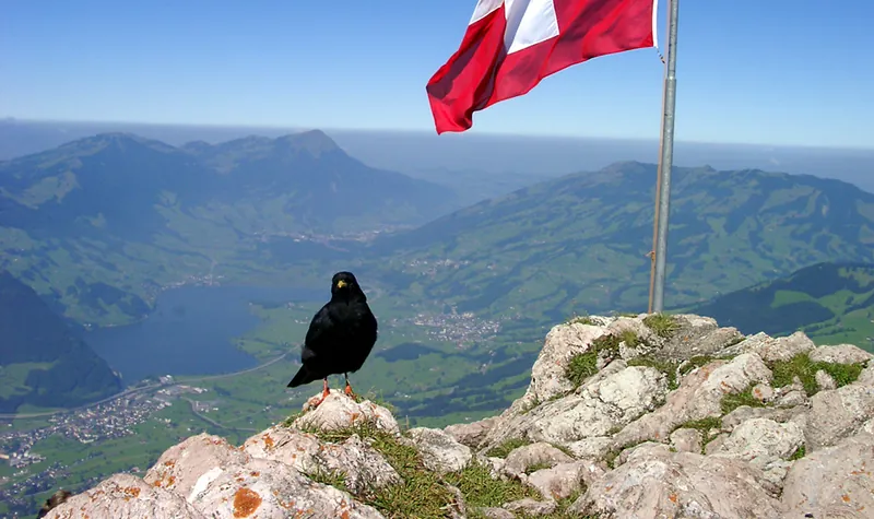 Bergdohle auf dem Großen Mythen (2002-08-14 10:56:38)