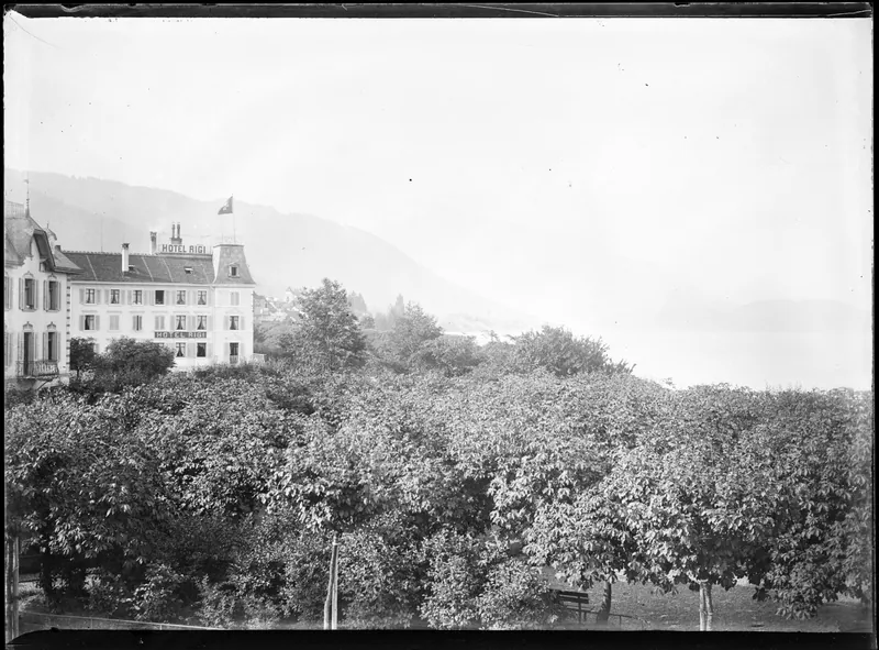 Hotel Rigi in Zug