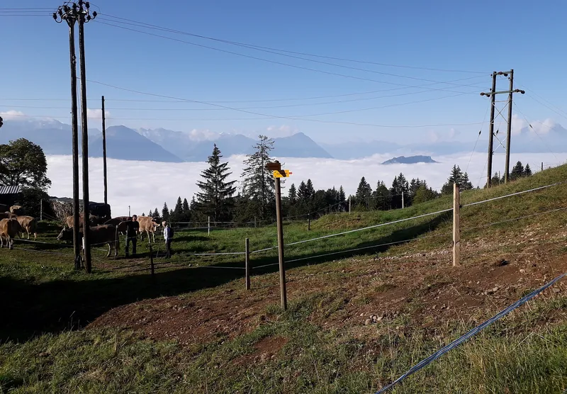 2021091802 Rigibahn (2021-09-18 09:34:43)