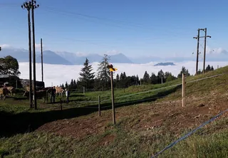 2021091802 Rigibahn (2021-09-18 09:34:43)