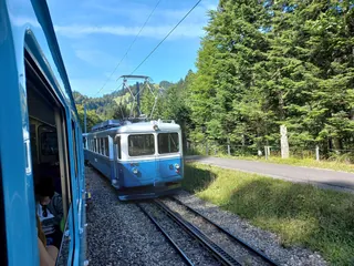 Rack railway Arth-Goldau to Rigi-railway station Rigi Fruttli-encounters-02ASD (2023-09-04)