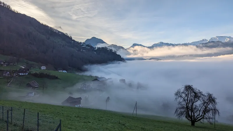 Tiefnebel (2024-03-19 07:30:25)