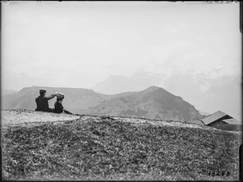 Arth, Rigi , Panorama (approx. 1914)
