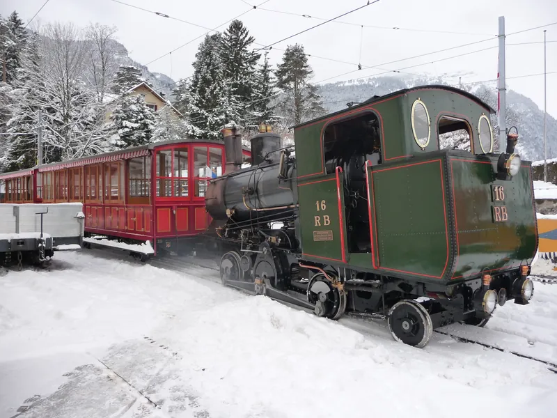 Vitznau, Arth Goldau, special trip on the Rigi Railways (29.01.2010)