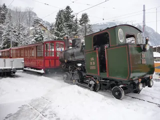 Vitznau, Arth Goldau, special trip on the Rigi Railways (29.01.2010)