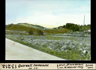 Querwall Immensee von Südwest (1942)