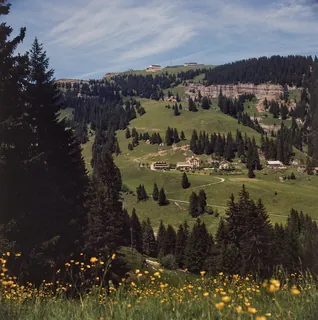 Rigi in the Summer (1975)