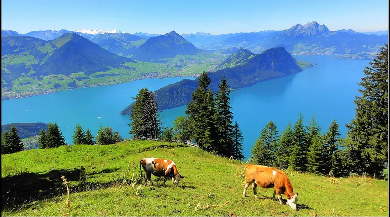 Vitznau - what a cheesy picture... - panoramio (Taken on 11 August 2011)