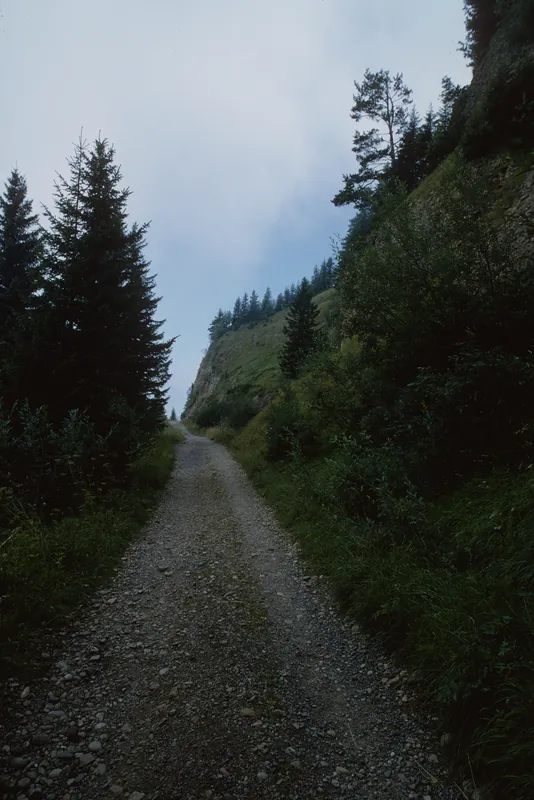 Route of the Rigi-Kaltbad-Scheidegg Railway (RSB) (8/1994)