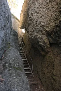Rigi, ladder near Steiglen, Nagelfluhfels (02.01.2020)