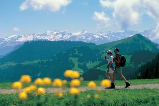 Mt. Rigi 'Queen of the Swiss Mountains' in Summer