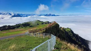 20240906.Rigi Kulm.-026 (2024-09-06 11:01:03)