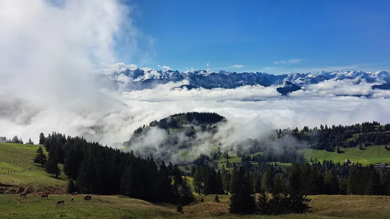 20240906.Rigi Kulm.-015 (2024-09-06 10:49:21)