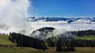 20240906.Rigi Kulm.-015 (2024-09-06 10:49:21)