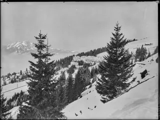 Rigi Kaltbad, Ortsteilansicht (3/1932)