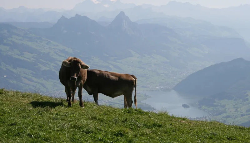 Rigi Kulm 2012-09-09 (2012-09-09)