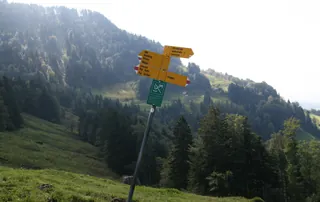 Rigi_Kulm_45