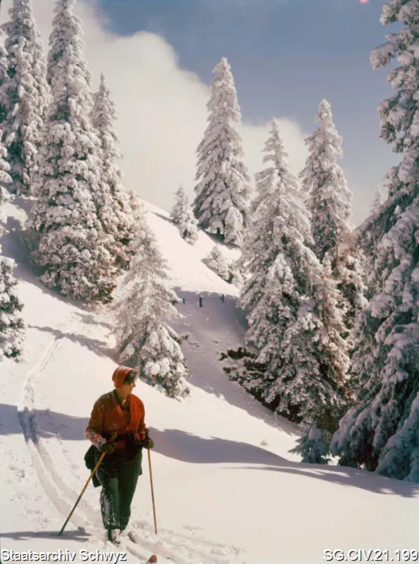 Winterilandschaft auf der Rigi (zwischen 1950 und 1980)