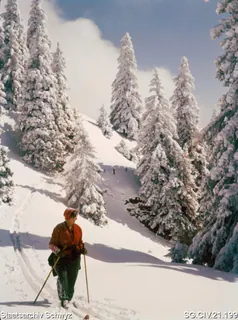 Winterilandschaft auf der Rigi (zwischen 1950 und 1980)