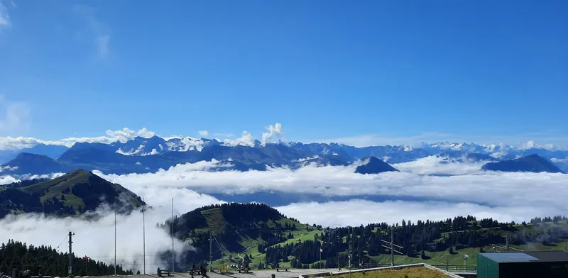 20240906.Rigi Kulm.-029.3 (2024-09-06 11:13:23)