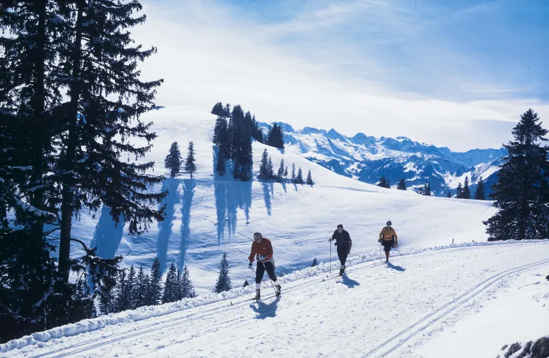 Art Rigi Railway (ARB) (ca. 1975)