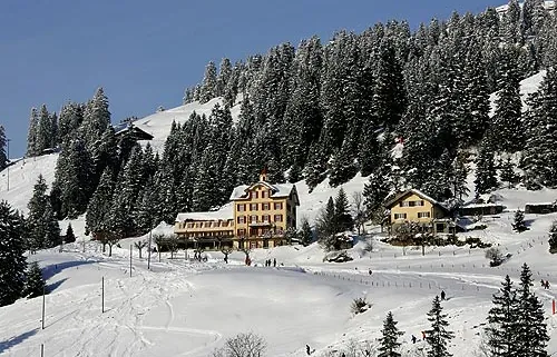 Picswiss SZ-29-67 (2005-12-30)