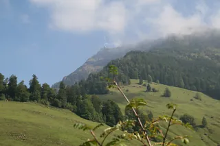 Rigi_Kulm_90