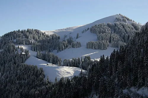 Picswiss SZ-29-68 (2005-12-30)