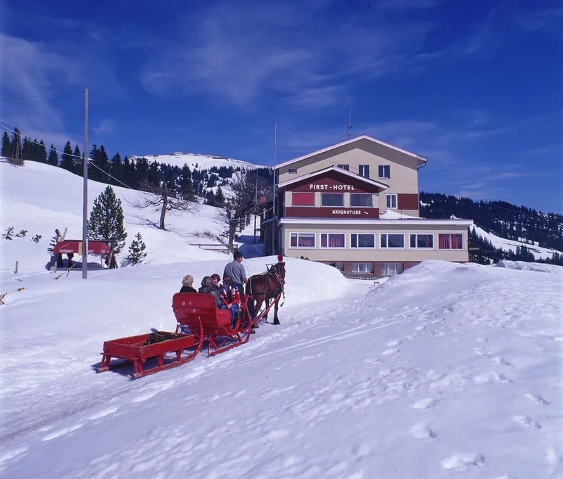 Rigi, Horse-Drawn Sleigh (1978)