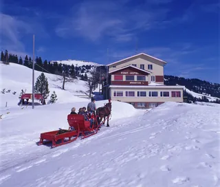 Rigi, Horse-Drawn Sleigh (1978)