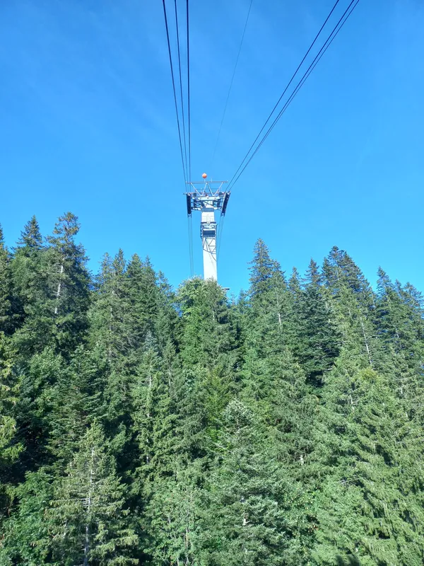 Weggis-ropeway-Rigi Kaltbad-track-pylon 2-01ASD (2023-10-08)