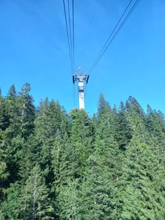 Weggis-ropeway-Rigi Kaltbad-track-pylon 2-01ASD (2023-10-08)