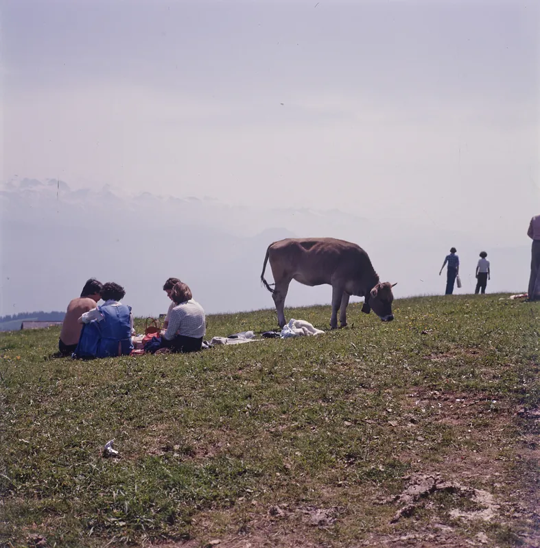Rigi, Hiking in the Summer (1975)