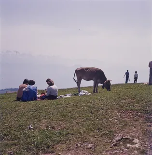 Rigi, Hiking in the Summer (1975)