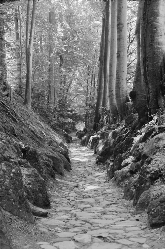 Küssnacht am Rigi, Hohle Gasse (12.08.1985)