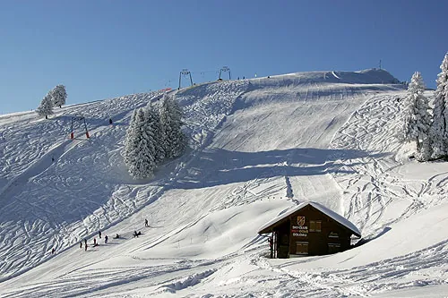Picswiss SZ-29-37 (2005-12-30)