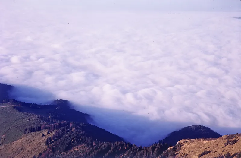 Rigi, Autumn Landscape with a Sea of Fog (1975)