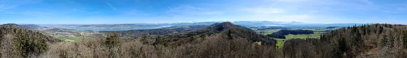 Albisturm 2021 360 Panorama (2021-03-29)
