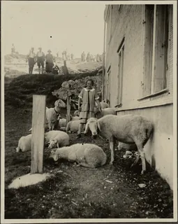 Rigi Kulm (14.06.1925)
