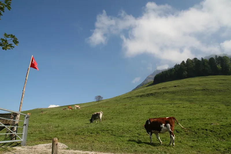 Rigi_Kulm_92