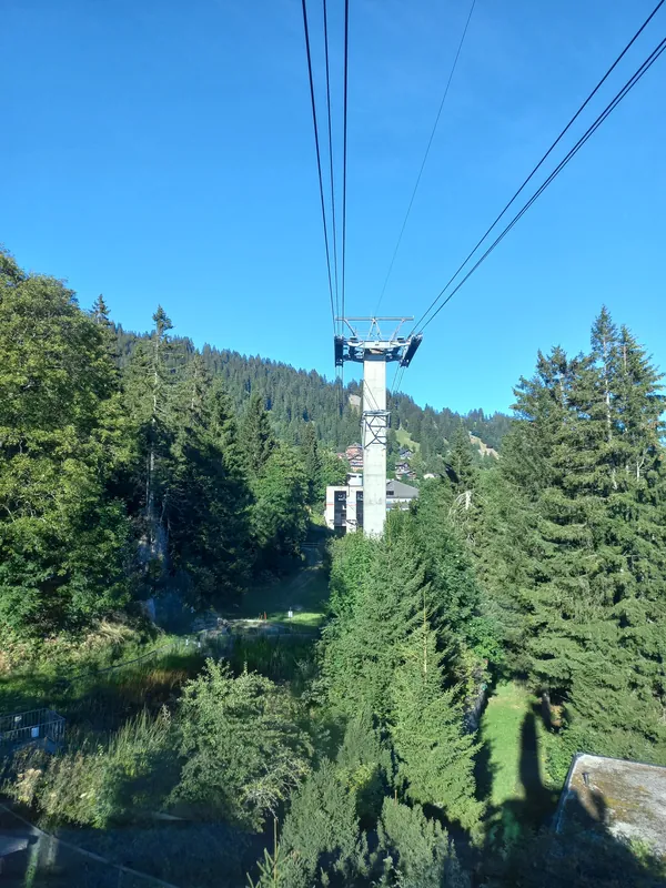 Weggis-ropeway-Rigi Kaltbad-track-pylon 3-01ASD (2023-10-08)