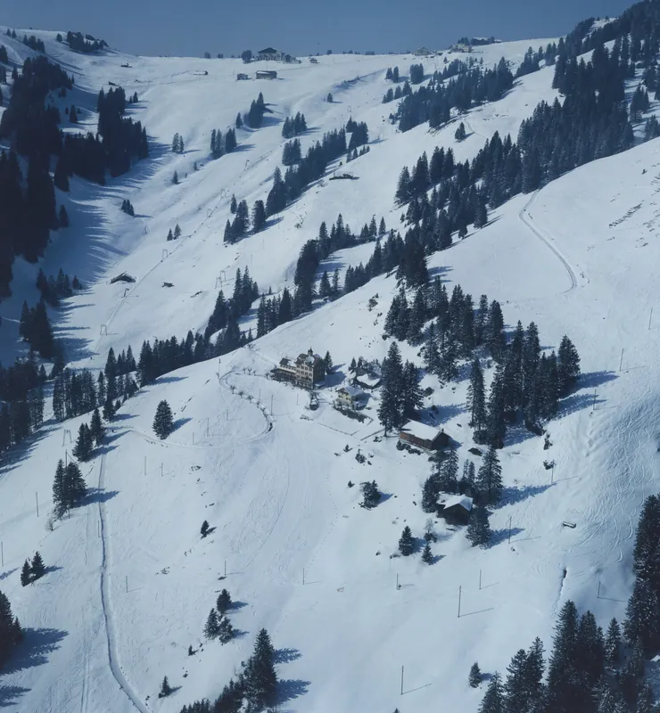 Rigi, Riedboden (12.03.1984)