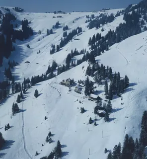 Rigi, Riedboden (12.03.1984)