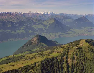 Rigi, Scheidegg (12.08.1993)
