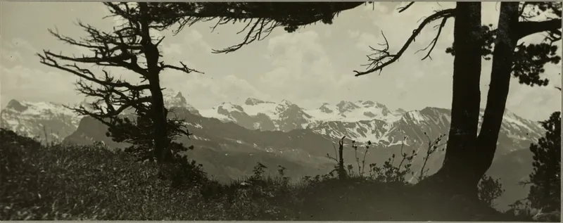 Uri Rotstock group, [view] from Rigi-Hochfluh (03.06.1945)
