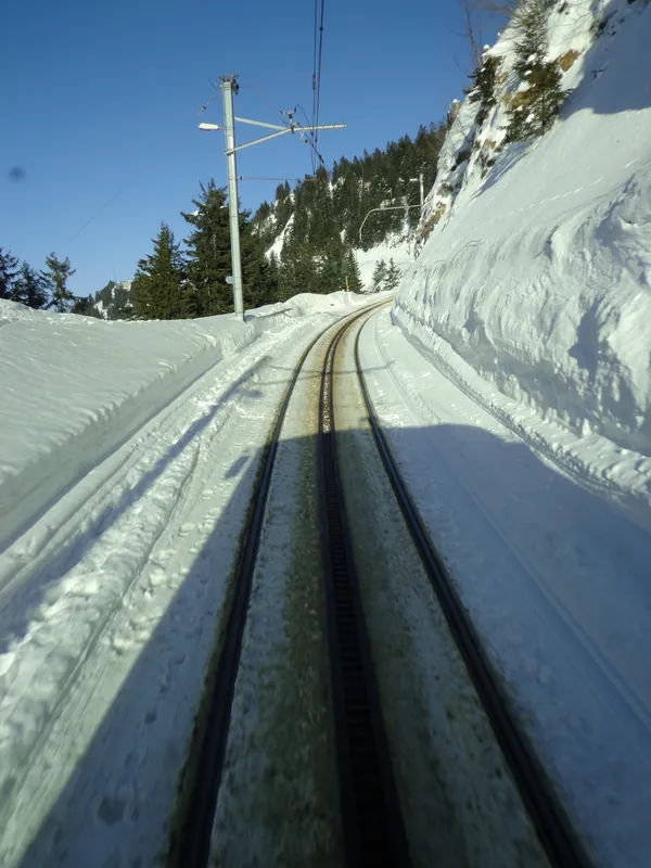 Zahnradbahn Rigi (2014-03-10 10:49:24)