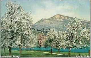 Blühende Obstbäume und die Rigi (1917)