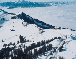 Rigi board (16.01.1995)