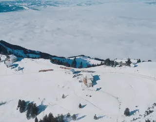 Rigi board (16.01.1995)
