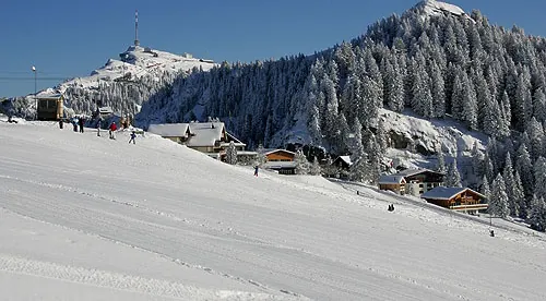 Picswiss SZ-29-44 (2005-12-30)